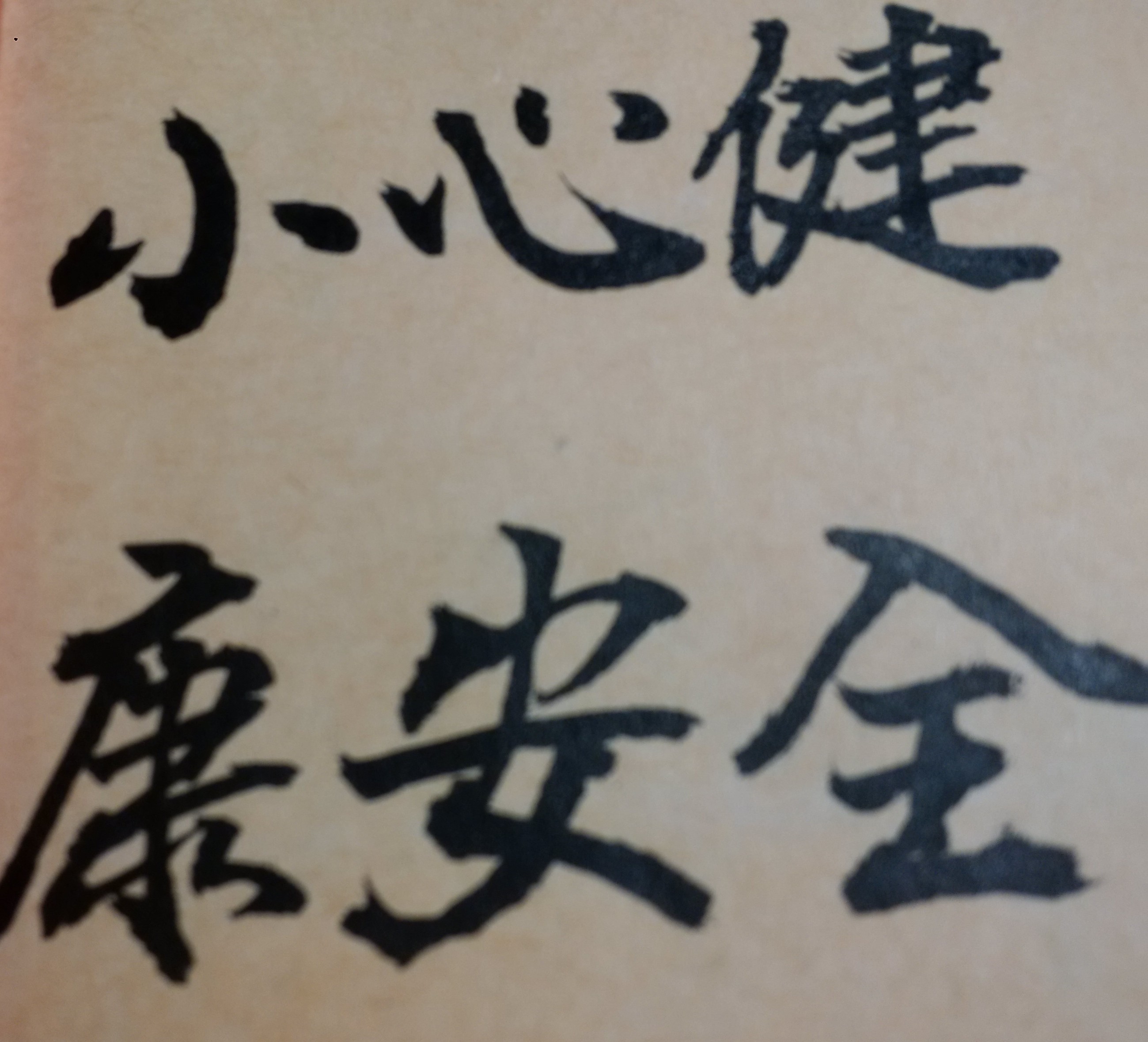身心障礙的朋友們，如果能懂得算命，早點掌握自己命運的特質與趨勢，未來在事業、求學或感情方面，也會有輝煌勝利的成功機會，千萬不能小看自己；從紫微斗數命理來看，有些人一出生下來，確實會帶有身體方面的疾病或先天肢體的缺憾，但此並不代表他們的智慧、才藝、技能，就會比別人差，甚至有時還超過他人；然而，有許多身心障礙的朋友，由於不曾算過命或是不相信命運，結果只因為身體或生理方面的不方便，就放棄對人生奮鬥的力量及心志，最後只能默默地渡過一生，非常可惜！