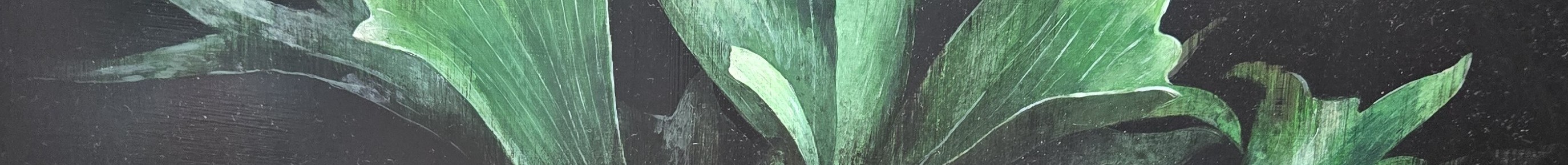 如果只有六字也能算命嗎？早期台灣社會由於大醫院缺乏且診所普遍不多，許多嬰兒出生，都是由接生婆、助產士到家中協助生產出來，也因此許多嬰兒的出生時間常會有記錄錯誤、不正確的情形發生；如此時間一久，也導致許多父母並不清楚或忘了兒女的真正出生時間為何時？如果不清楚自己出生的確實時辰，府相居士建議有下列方法可解決。第一、可去自己的出生醫院查詢；第二、可去戶政事務所申請查詢，包括出生地點、醫院，以及出生的年月日及最想知道的時間；尤其民國六十二年以後出生的民眾，都有完整的出生年、月、日、時，詳實記載在戶籍謄本內。