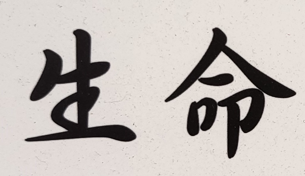 身體健康才能擁有一切