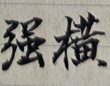 家中唯一的男孩子，從小叛逆性就很重，不只會和長輩回嘴、頂嘴、不受教；長大後，更是變本加厲，不只不聽話，還會事事和父母對抗，且時時在外惹事生非；另外，從小到大，常常生病或有意外事故，花了家中不少錢；至今仍不喜歡讀書、進修，也不出外學一技之長，只閒賦在家，令家人十分頭痛。